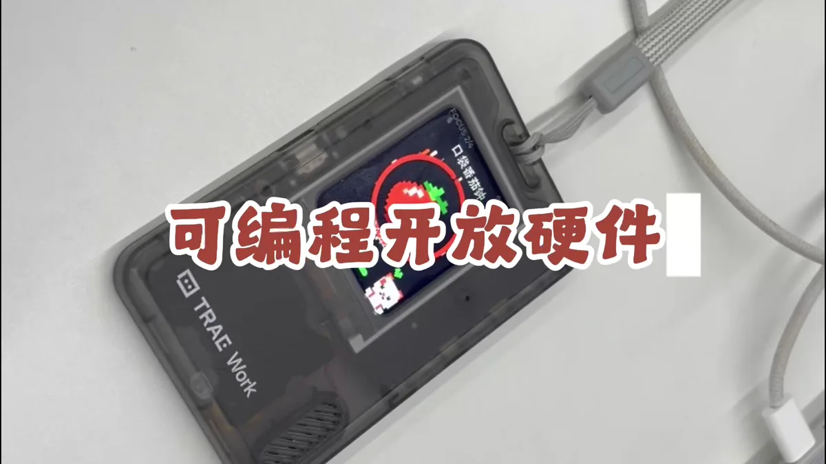 通过 USB 连接的可编程 AI Passport