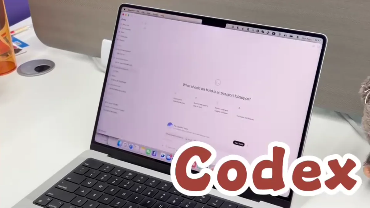 视频中的 Codex 项目界面